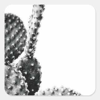 Pegatina Cuadrada Black and White Cactus Zwart en Wit