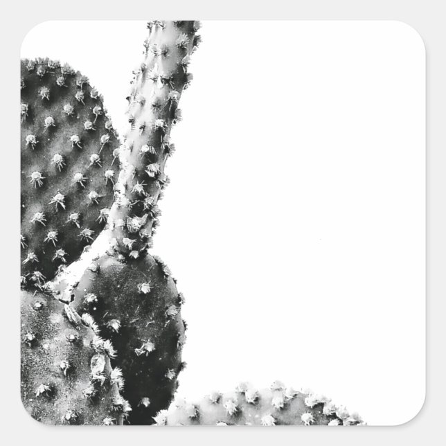 Pegatina Cuadrada Black and White Cactus Zwart en Wit (Anverso)