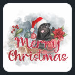 Pegatina Cuadrada Black Pug Merry Christmas with Poinsettia Flower<br><div class="desc">Black Pug Merry Christmas with Poinsettia Flower</div>