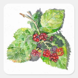 Pegatina Cuadrada BlackBerry