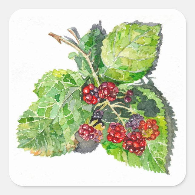 Pegatina Cuadrada BlackBerry (Anverso)