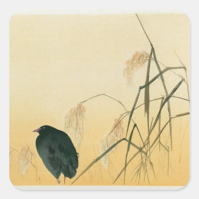 Pegatina Cuadrada Blackbird, Edo Period (Anverso)