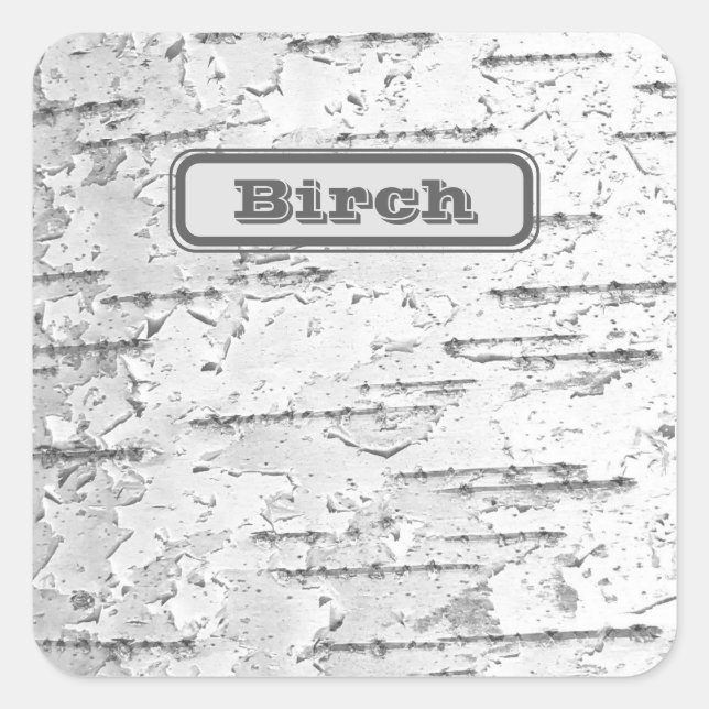 Pegatina Cuadrada Blanco, como en Birch Bark Foto con nombre (Anverso)