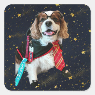 Pegatina Cuadrada Blenheim Cavalier King Charles Wizard Square Stick