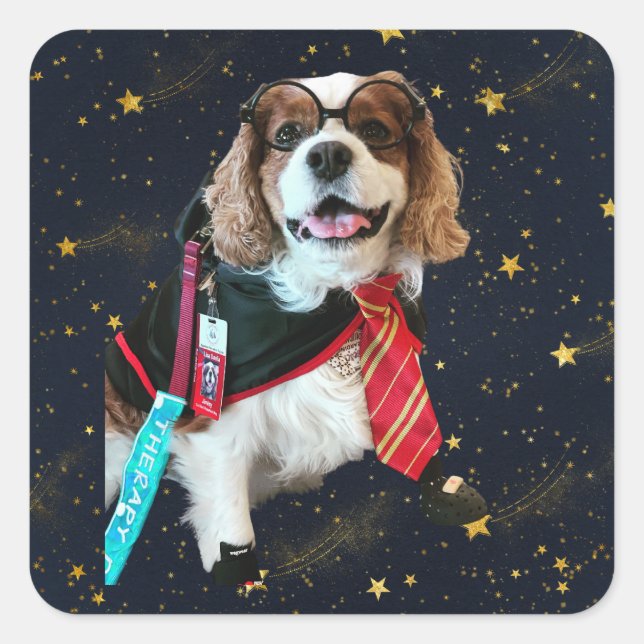 Pegatina Cuadrada Blenheim Cavalier King Charles Wizard Square Stick (Anverso)
