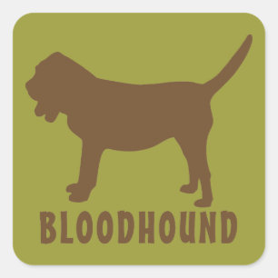 Pegatina Cuadrada Bloodhound