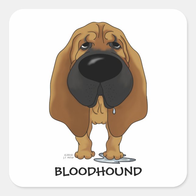 Pegatina Cuadrada Bloodhound Nose (Anverso)