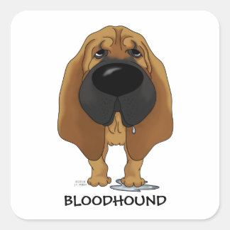 Pegatina Cuadrada Bloodhound Nose