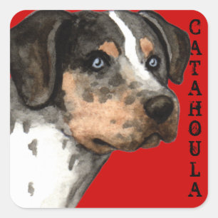 Pegatina Cuadrada Bloque de color de Catahoula