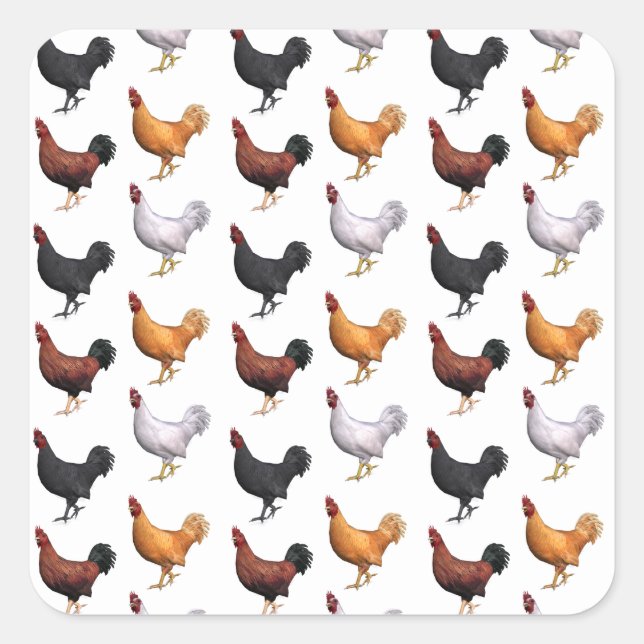 Pegatina Cuadrada Bloque De Gallos (Anverso)
