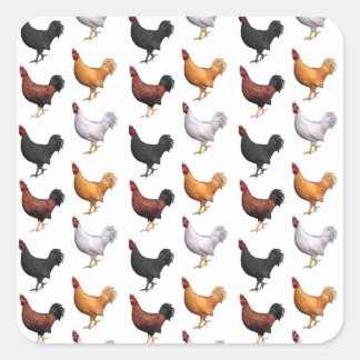 Pegatina Cuadrada Bloque De Gallos