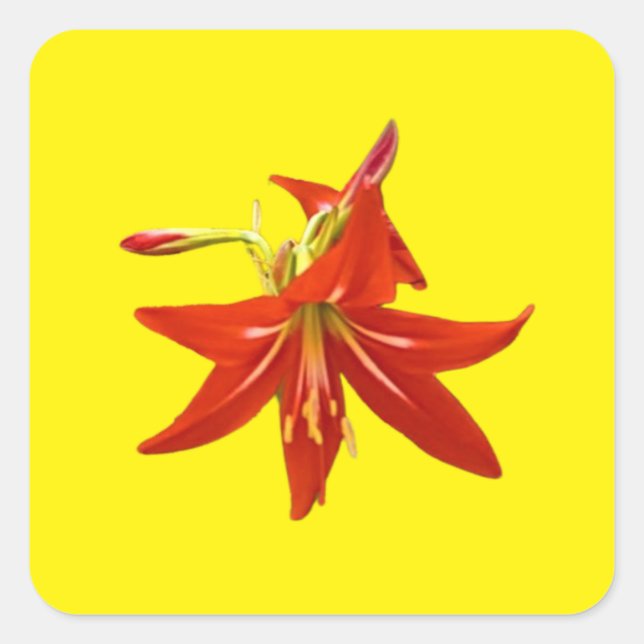 Pegatina Cuadrada Bloques de primavera (Anverso)