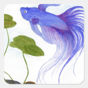 Pegatina Cuadrada Blue Betta Fish