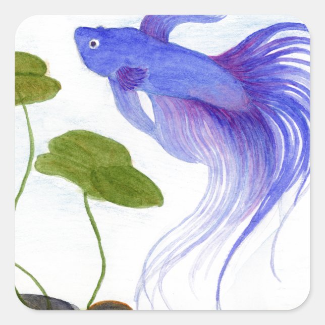 Pegatina Cuadrada Blue Betta Fish (Anverso)