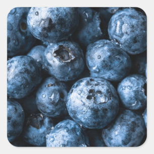 Pegatina Cuadrada Blueberries Fruit