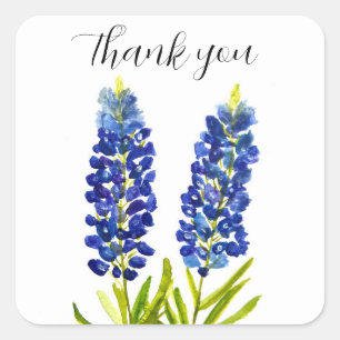 Pegatina Cuadrada Bluebonnets Texas State Flowe Lupine Watercolor