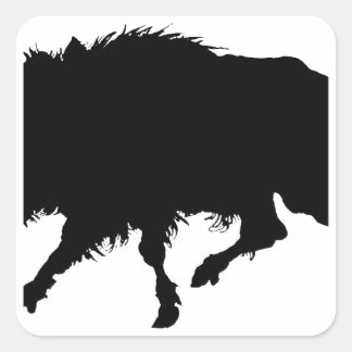 Pegatina Cuadrada Boar salvaje o cerdo salvaje elegante silueta