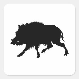 Pegatina Cuadrada Boar salvaje o cerdo salvaje elegante silueta