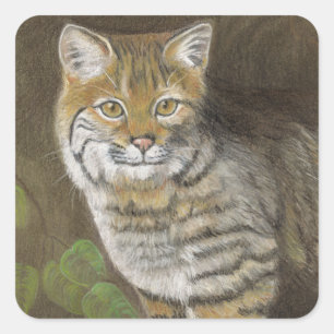 Pegatina Cuadrada Bobcat