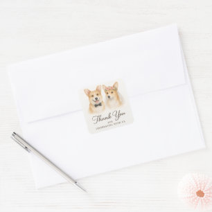 Pegatina Cuadrada Boda de Corgi de Novia y Novio Agradecimiento Dive