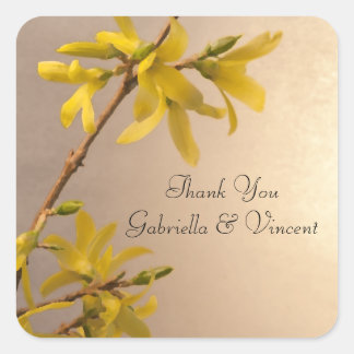Pegatina Cuadrada Boda De Forsythia Amarillo Gracias Por Favorecer E
