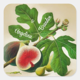 Pegatina Cuadrada Boda de higos de época