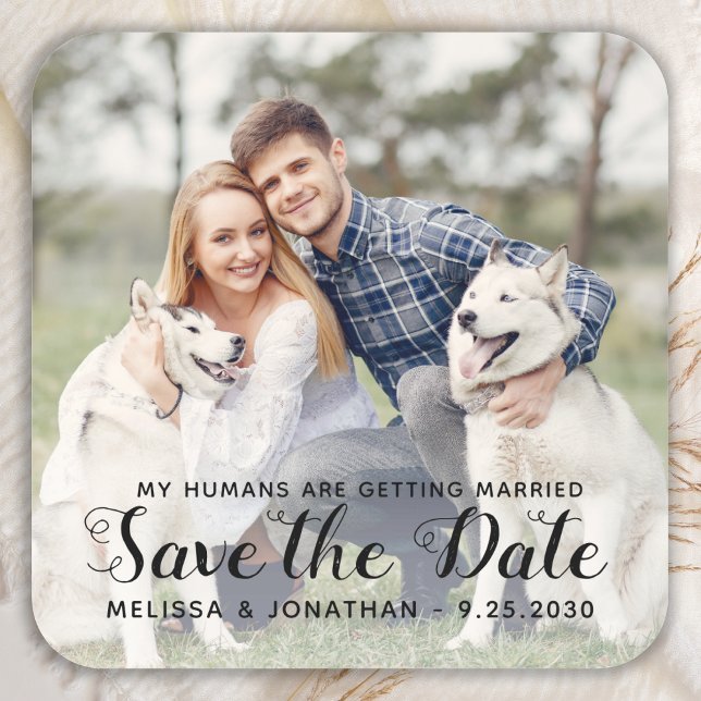 Pegatina Cuadrada Boda de perro de compromiso de fotografía Mascota  (Subido por el creador)