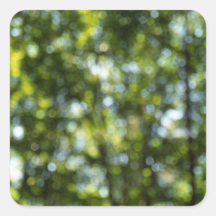 Pegatina Cuadrada Bokeh en primavera