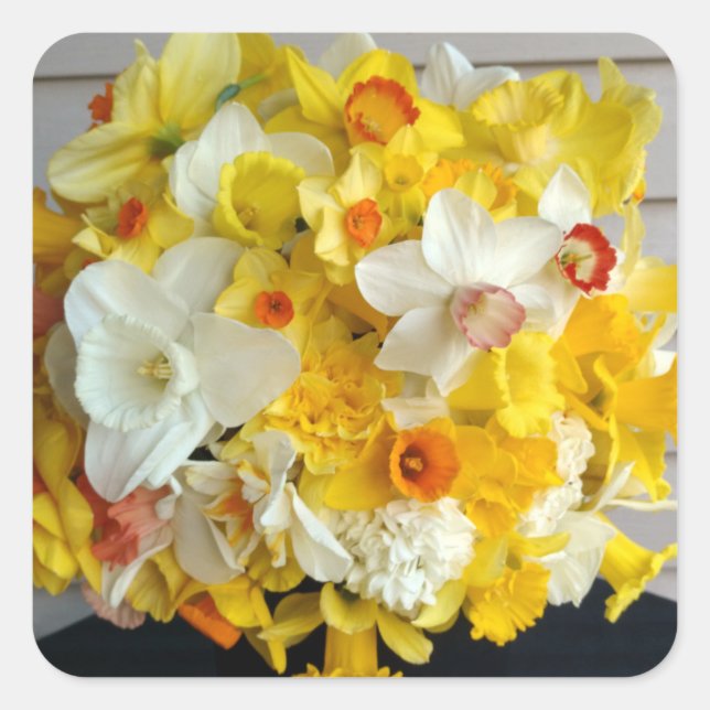 Pegatina Cuadrada Bola de Gorgeous Daffodils (Anverso)