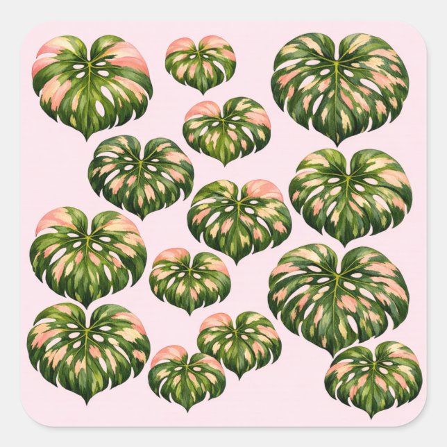 Pegatina Cuadrada Bolsa tote de planta Monstera rosa divertida botán (Anverso)