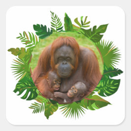 Pegatina Cuadrada Bono de familia de Orangutan