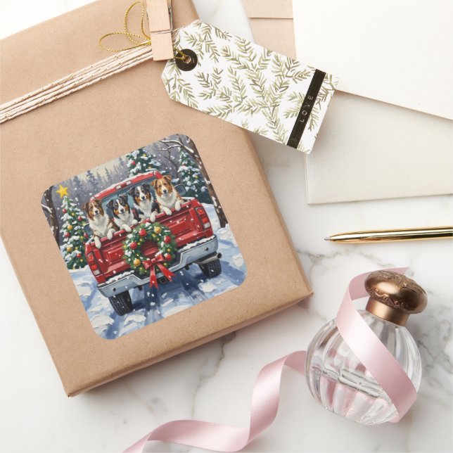 Pegatina Cuadrada Border Collie Christmas Red Truck Holiday (Regalar)