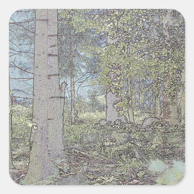 Pegatina Cuadrada Bosque de abeto místico (Anverso)