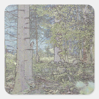 Pegatina Cuadrada Bosque de abeto místico