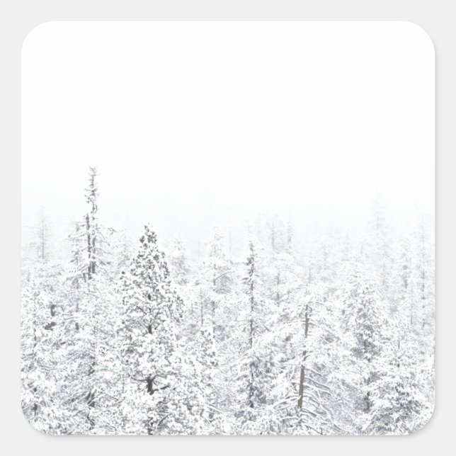 Pegatina Cuadrada Bosque de nieve (Anverso)