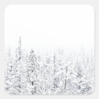 Pegatina Cuadrada Bosque de nieve