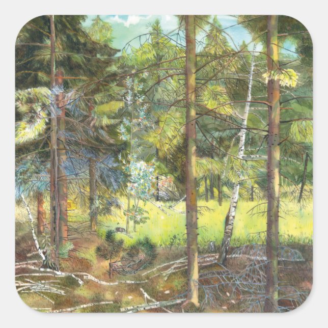 Pegatina Cuadrada Bosque de pinos (Anverso)