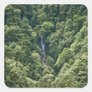 Pegatina Cuadrada Bosque del Himalaya en el valle de Mangdue, Bután