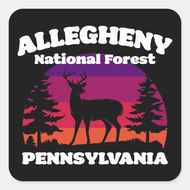 Pegatina Cuadrada Bosque nacional de Allegheny (Anverso)
