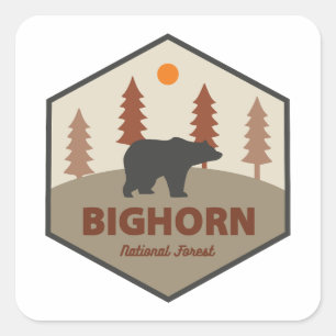 Pegatina Cuadrada Bosque nacional de Bighorn Wyoming Bear