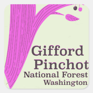 Pegatina Cuadrada Bosque Nacional Gifford Pinchot Washington