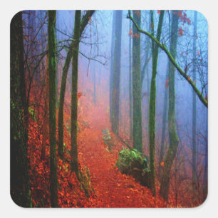 Pegatina Cuadrada Bosque Pintado Niebla Azul de Otoño