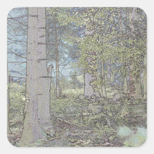 Pegatina Cuadrada Bosque spruce místico