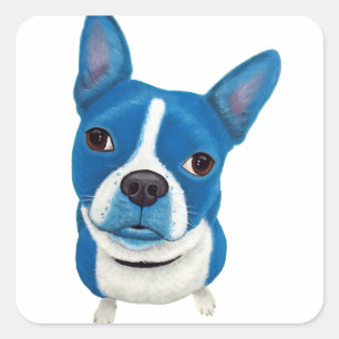 Pegatina Cuadrada Boston azul Terrier
