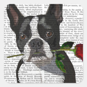 Pegatina Cuadrada Boston Terrier con Rosa en boca