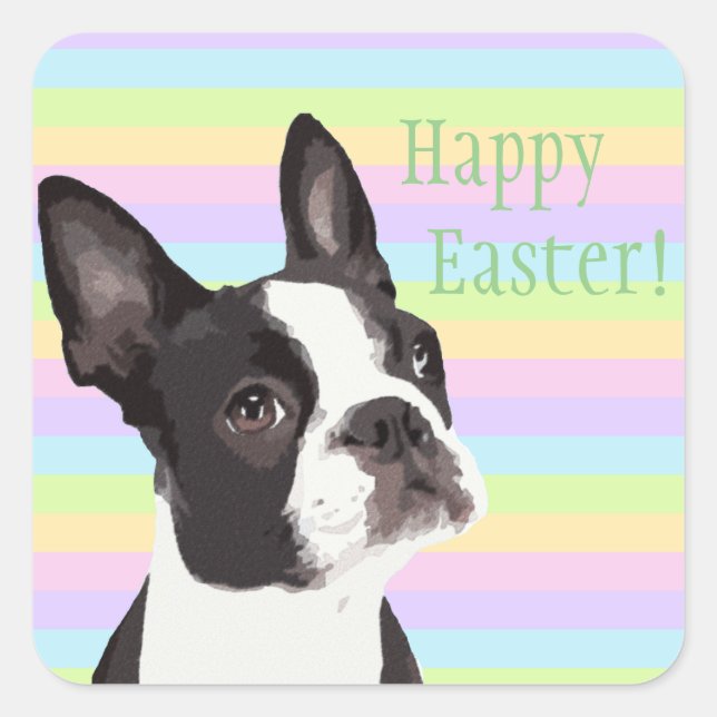 Pegatina Cuadrada Boston Terrier Easter quiere Pegatinas Pastel (Anverso)