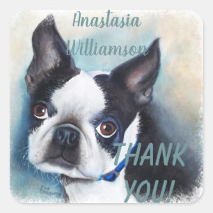 Pegatina Cuadrada Boston Terrier gracias