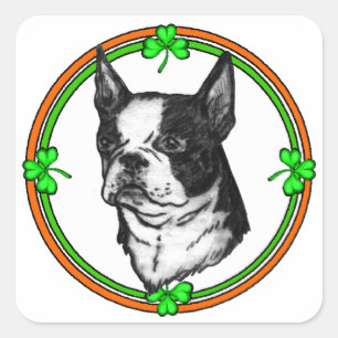 Pegatina Cuadrada Boston Terrier St Patrick's Day