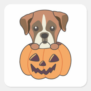 Pegatina Cuadrada Boxer En Calabaza Perros Cute Feliz Halloween
