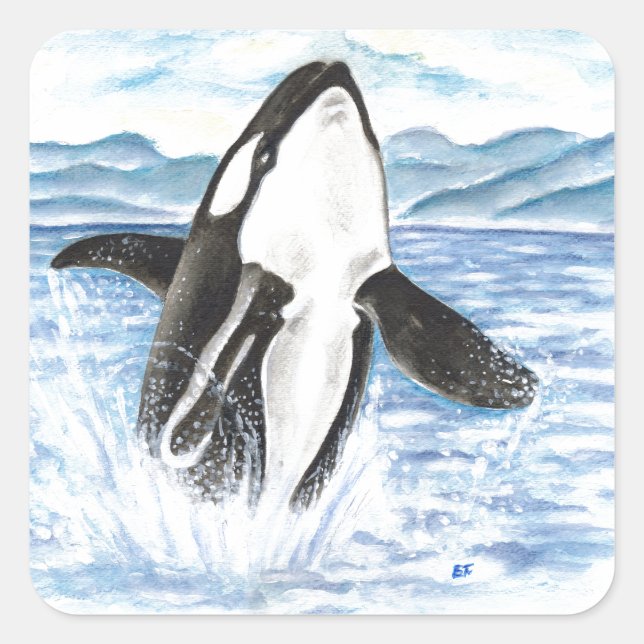 Pegatina Cuadrada Brecha acuarcal de ballena orca (Anverso)